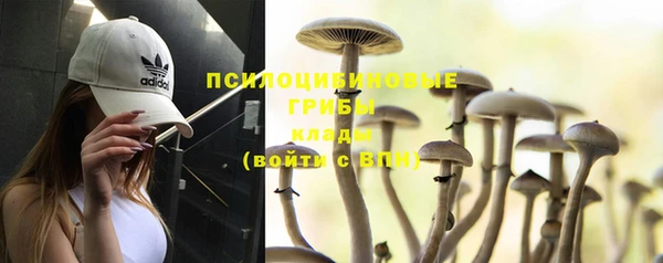 PSILOCYBIN Алексеевка