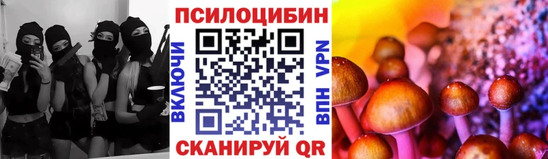 Галлюциногенные грибы Psilocybe  как найти закладки  Тара 