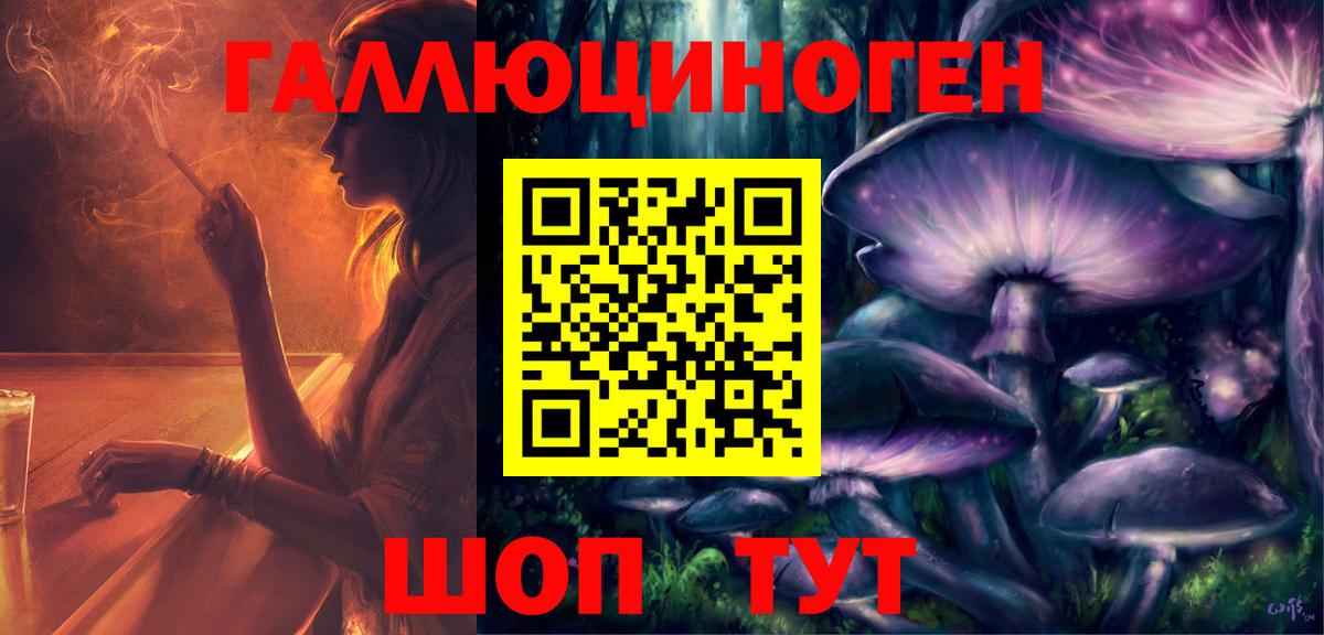 Тара  Галлюциногенные грибы прущие грибы  Вход с VPN  Псилоцибиновые грибы мицелий 